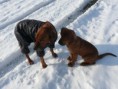 /album/fotky-stenatek-od-novych-panicku/a421740-366480413365279-100000099695612-1469522-2093564768-n-jpg/