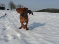 /album/fotky-stenatek-od-novych-panicku/a427572-366479983365322-100000099695612-1469518-466387684-n-jpg/